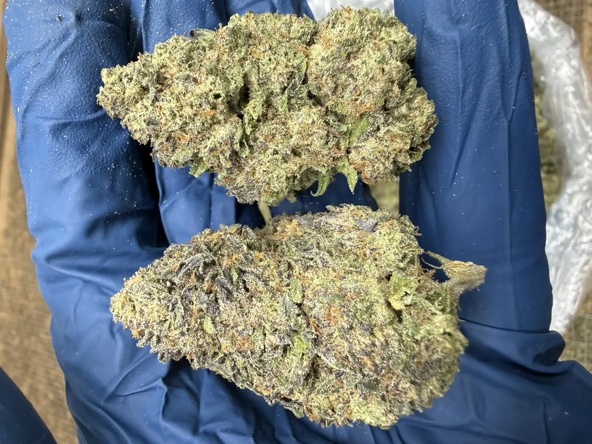 Cadillac Rainbow Packaged Flower